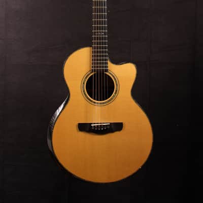 Kevin Ryan Nightingale Grand Soloist image 1