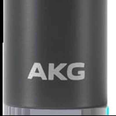 AKG C151 AKG C151 Cardioid Condenser Recording Microphone image 1