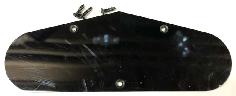 2013 Epiphone Les Paul Special II Control Cavity Cover With Screws image 1