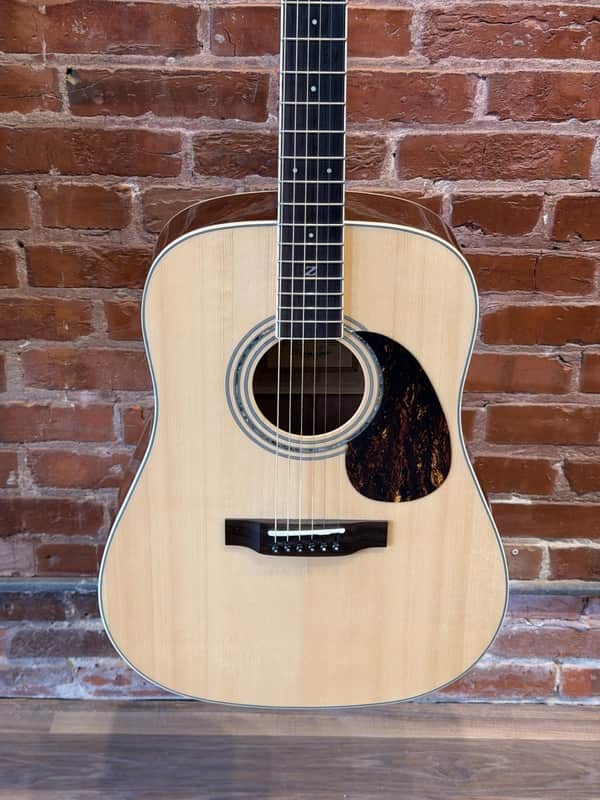 Zager used ZAD-50/N Easy Play Acoustic with hard case image 1