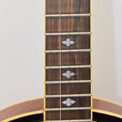 Oscar Schmidt Closed Back 5-String Banjo image 8