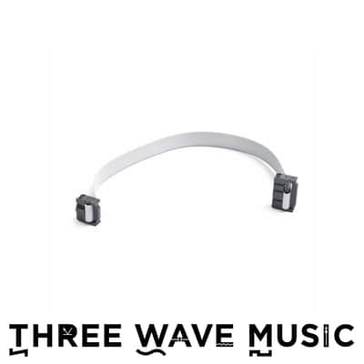 Eurorack Module Power Cable 10P-16P 10-inch [Three Wave Music] image 1