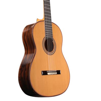Manuel Adalid Homenaje - Cedar Double top/Solid Ziricoté back/sides - Handmade in Spain - 2025 image 12