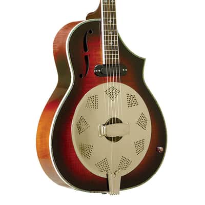 Gold Tone Acoustic Body Resophonic 5-String Banjo (With Electronics) image 1