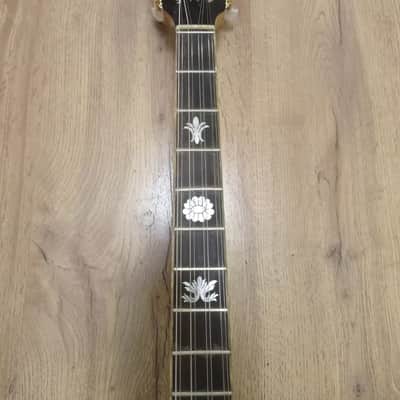 Greek Bouzouki & hardcase & pickup & 300 backing track with pdf scores 8 string image 4