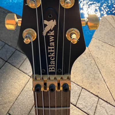 Stuart Spector Design (SSD) BlackHawk Guitar  - Stuart’s Personal Guitar image 3