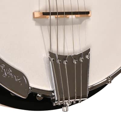 Gold Tone GT-500 6-string Banjitar image 3