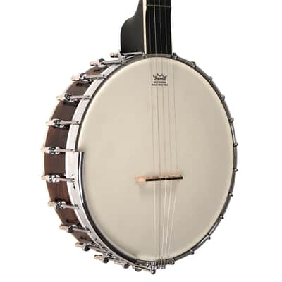Gold Tone Mastertone™ WL-250/L: Lefty White Ladye Banjo with Case image 2