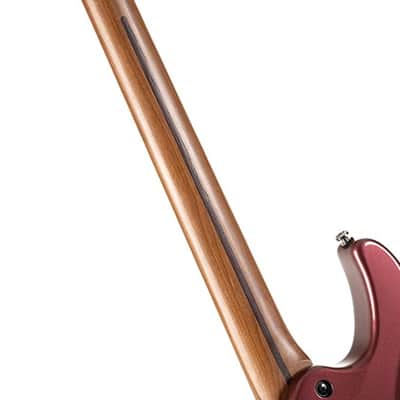 Cort G250 SE VVB | 6-String Solid-Body Electric Guitar, Vivid Burgundy. New with Full Warranty! image 3