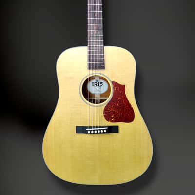 Iris Guitars D-WH Natural image 2