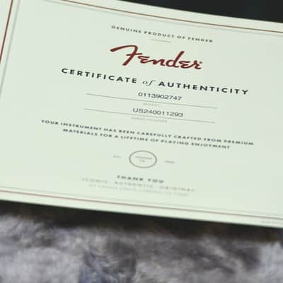 Fender American Professional II Stratocaster with Maple Fretboard - Sienna Burst image 18