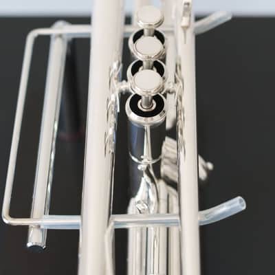 Yamaha YTR-6310ZS Bobby Shew Bb Trumpet (SN 4014xx) image 10