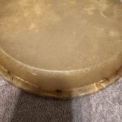 New Tropical Music - Bongo Head Replacement 8” - Natural Skin image 6