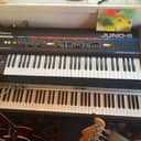 Roland Juno-6 61-Key Polyphonic Synthesizer 1982 - 1984 - Black