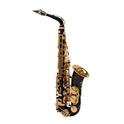 Selmer Signature noir gravé - Saxophone alto professionnel avec étui et bec complet image 2
