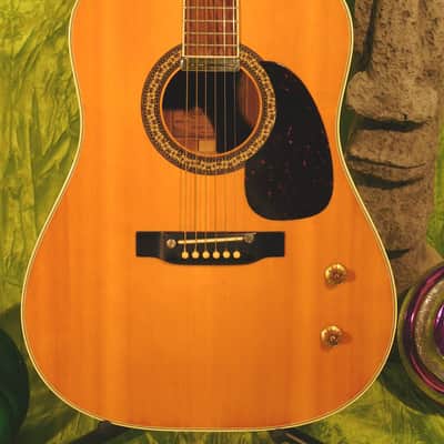 Alvarez 5046 SLM Acoustic-Electric Guitar Vintage 1978! image 2