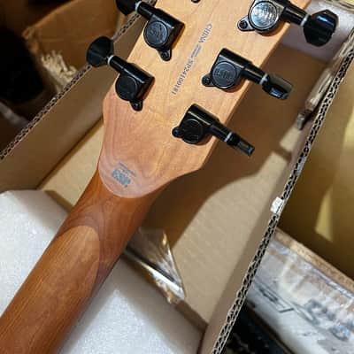 ESP LTD EC-200DX Electric Guitar - Blue Burst image 5