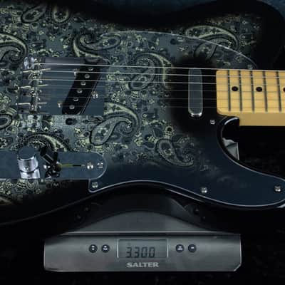Fender Made In Japan Limited Edition Tele Maple Black Paisley JD25017732 image 11