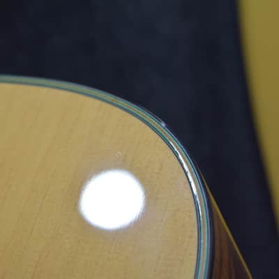 Washburn D46S12 Southwestern Series 12-String Acoustic Guitar w/Case #G05070031 image 15