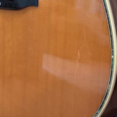 Marlin MC-515 Acoustic Guitar Early 70’s - MIJ image 18