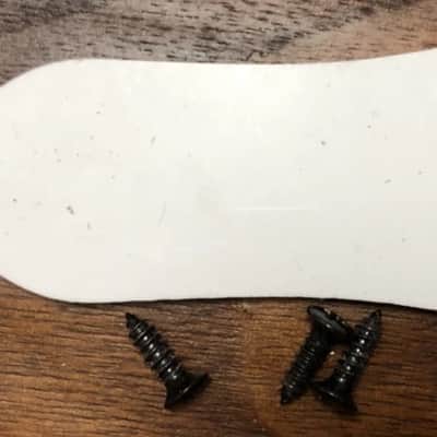 2017 Epiphone Les Paul Special II Electric Guitar Truss Rod Cover With Screws image 2