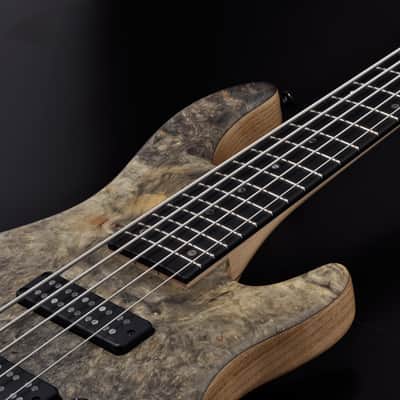 STR Bass #361 DLS549 (Authorized Dealer) Handmade in Japan Buckeye Nordstrand image 4