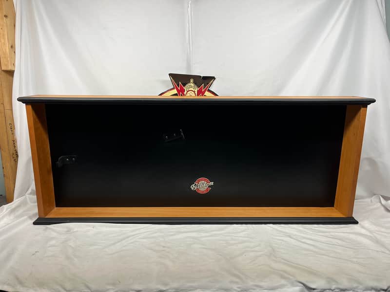 Gibson Display Case for Les Paul image 1