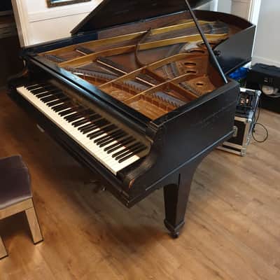 Bechstein Model III 1887 Semi-Concert Grand Piano - Black image 3