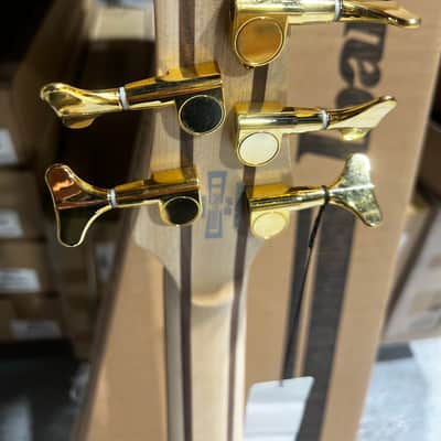 Ibanez SR Standard 5-string Electric Bass - Mars Gold Metallic Burst image 6