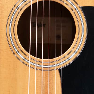 Taylor 117e Grand Pacific Acoustic/Electric Guitar with Gig Bag image 12