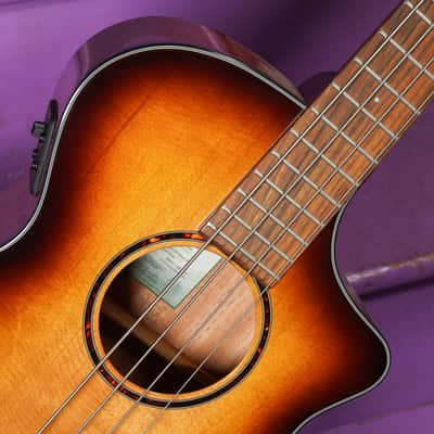 2021 Breedlove Discovery S Concert ED Acoustic/Electric Bass Guitar (VIDEO! Fresh Work, Ready) image 5
