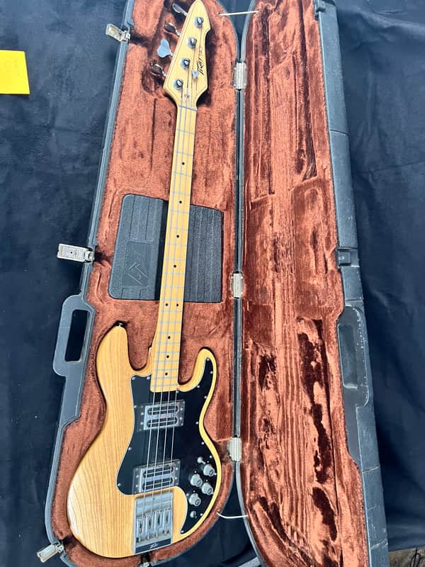 Peavey T-40