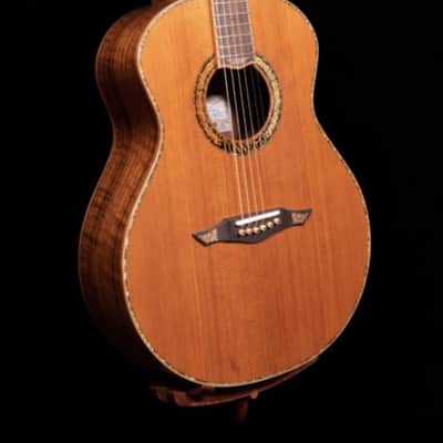 Petros Grand Concert - Claro Walnut/Tunnel 13 Redwood image 1
