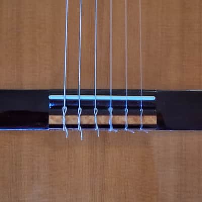 Espana Classical Guitar Model # CSR 2023 - Natural Gloss image 5