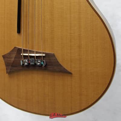 Warwick Alien Acoustic Bass Guitar image 4
