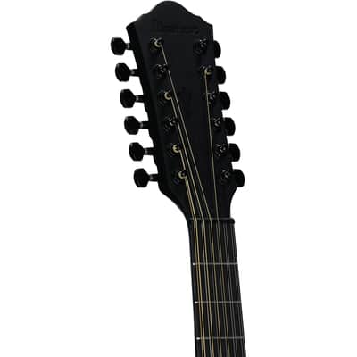Ibanez AEG1221-BOT - Black Out Acoustic Electric 12 String Guitar image 3
