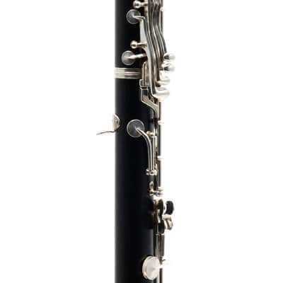 Buffet Crampon R13 Professional Bb Clarinet in Grenadilla SN F499157 image 12