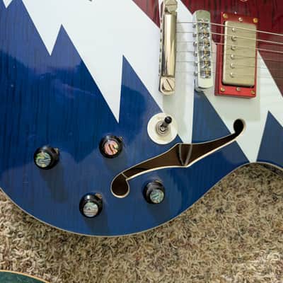 D'Angelico Premier Grateful Dead DC 2017 - 2019 - Red, White & Blue Graphic image 5