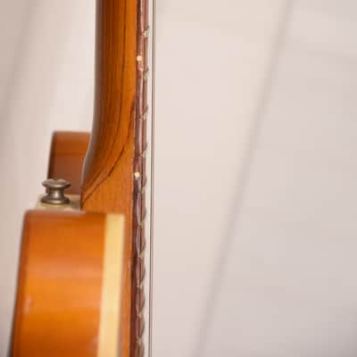 Framus Atlantik 6 – 1973 German Vintage Semi-hollow Archtop Guitar / Caravelle Sorento image 11