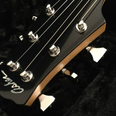 Asher T-Deluxe  2016 image 9
