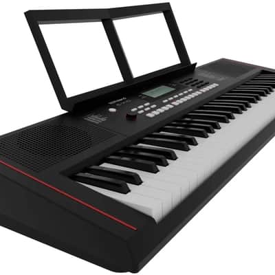 Roland E-X10 -  61-Key Touch Sensitive Arranger Keyboard EX10, EX-10 image 2