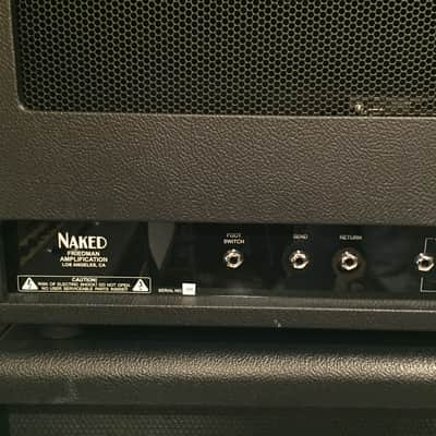 Friedman Naked 100 Watt Head w/ Saturation Switch image 3