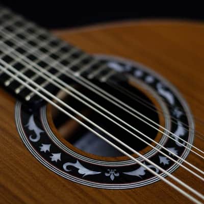 Junio Americo 10-String Mandolin | Brazil (with VS Tuners) image 4