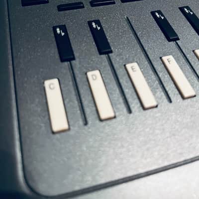 DigiTech Vocalist Workstation EX (Vocal Harmony Processor with Reverb) image 4