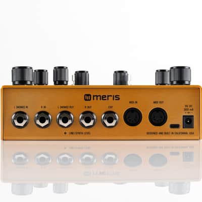 Meris Enzo X Modular Instrument Synthesizer Pedal image 2