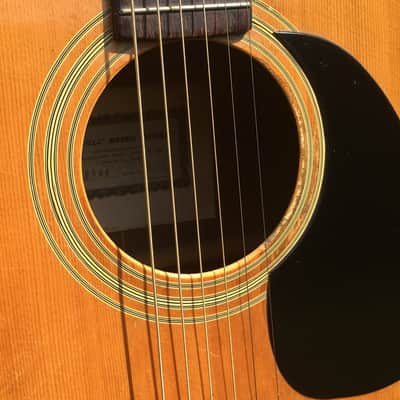 Vintage Penco Morris A14 Acoustic Guitar image 3