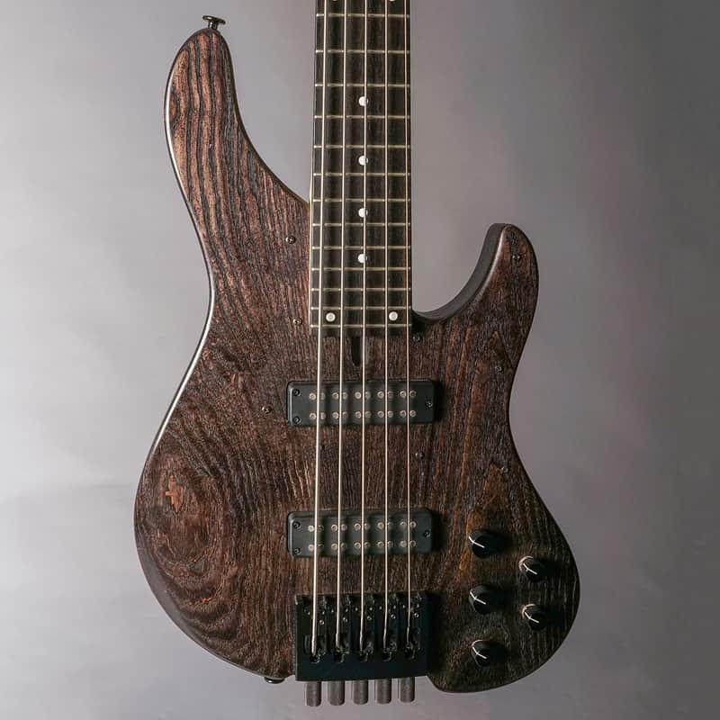 Bacchus Woodline 5 HL24 - Trans Black MIJ | Reverb