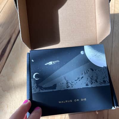 Walrus Audio Lore Reverse Soundscape Generator Limited Edition - Fall Series 2025 - Green Fall Fantasy Graphic image 7