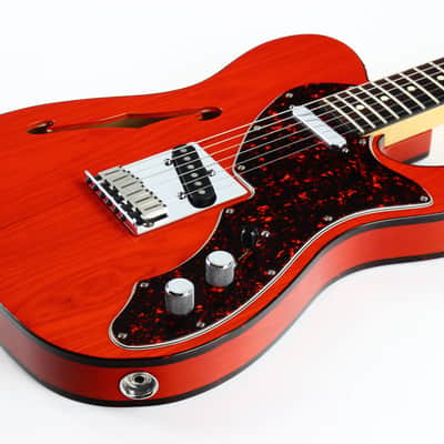 2001 Fender American 90's Telecaster Thinline DOUBLE BOUND TORTOISE Made in USA, ONE-OFF! Matching Headstock! image 16