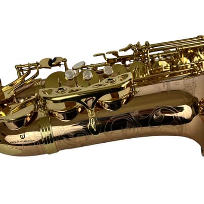 Yanagisawa AWO20UL Unlacquered Bronze Elite Alto Saxophone New In Box! image 21